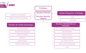 L'Organigramme de l'ADEC